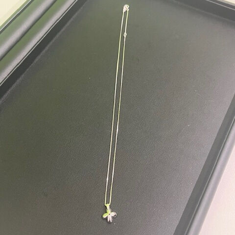 こんにちは！😊わかば多磨霊園駅前です